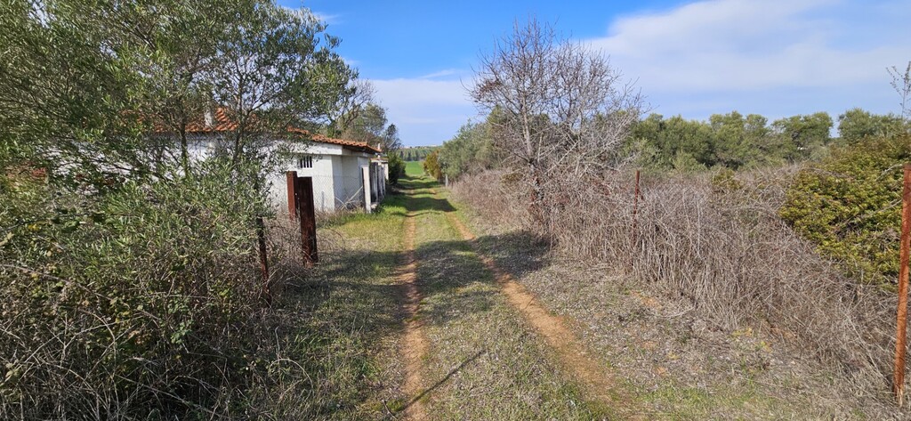 Land in Kassandra, Chalkidiki, Greece – 57994