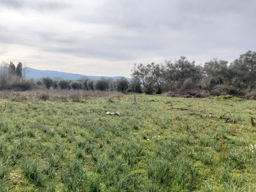 Land in Corfu, Corfu Prefecture, Greece – 57955