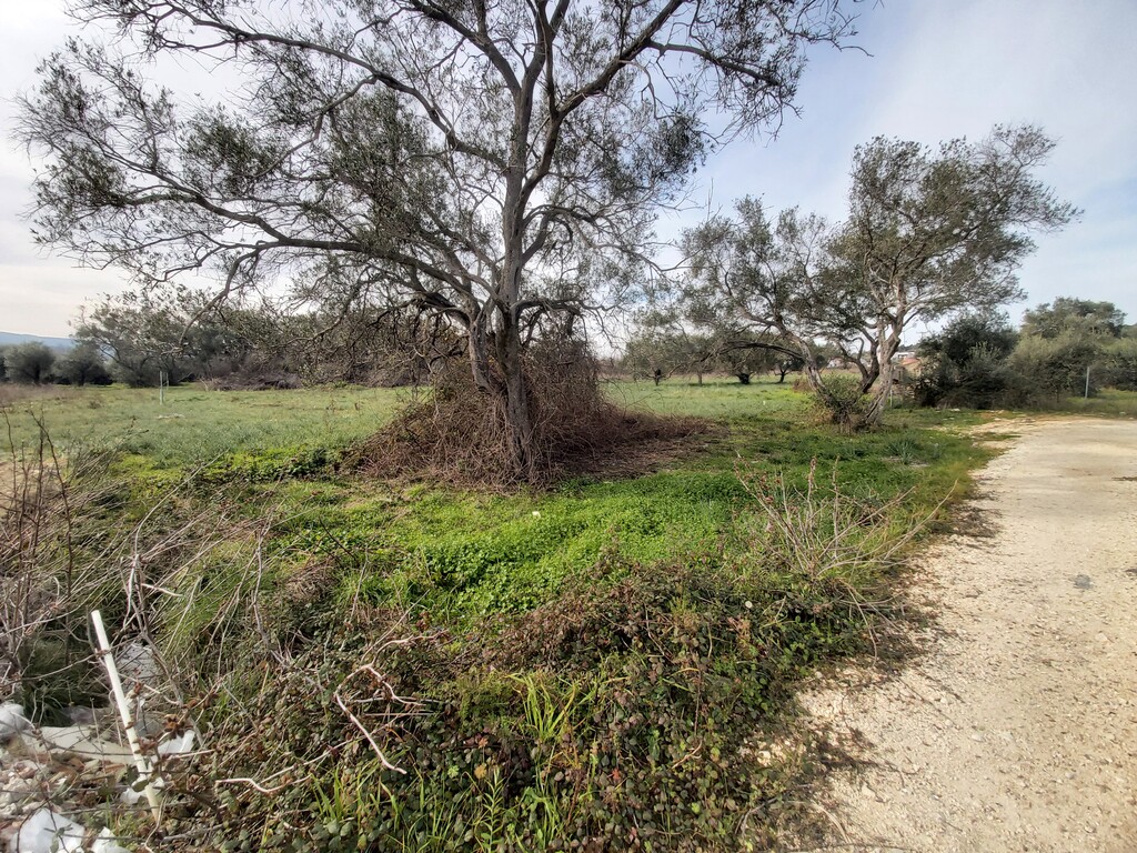 Land in Corfu, Corfu Prefecture, Greece – 57955