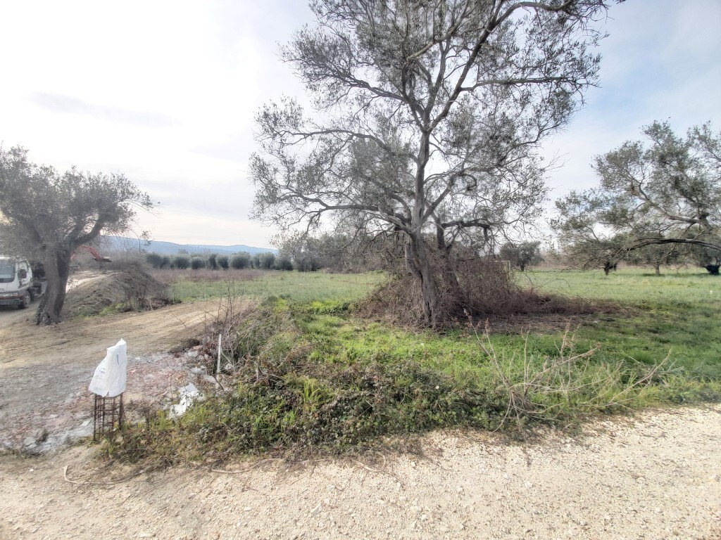 Land in Corfu, Corfu Prefecture, Greece – 57955