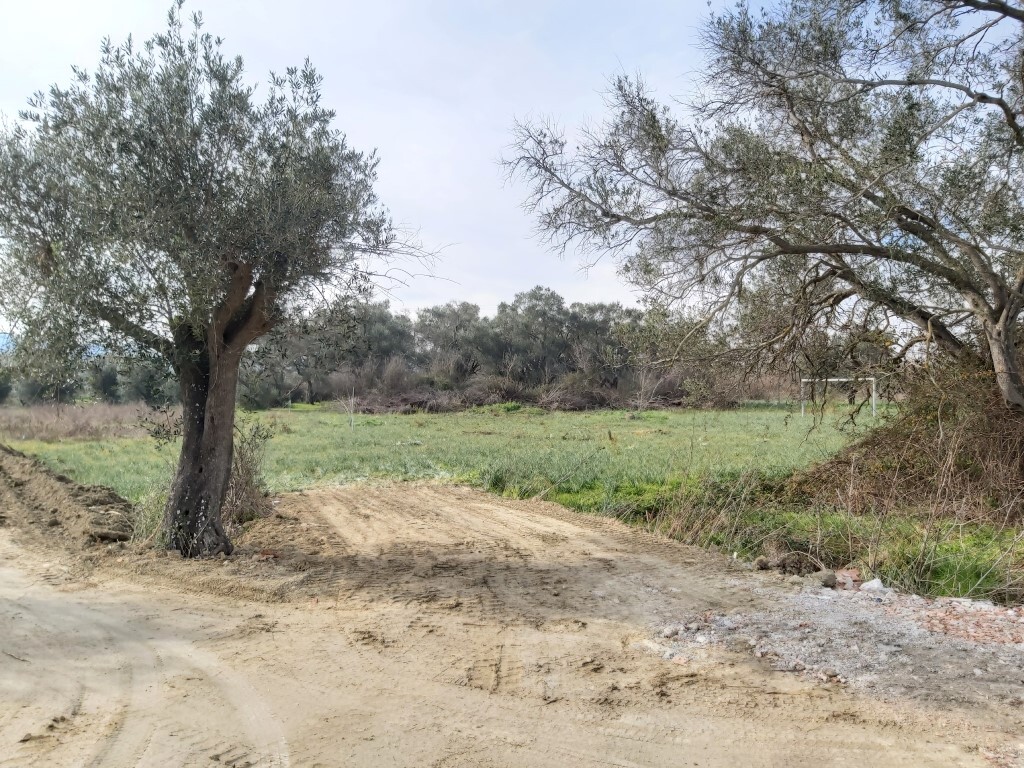 Land in Corfu, Corfu Prefecture, Greece – 57955