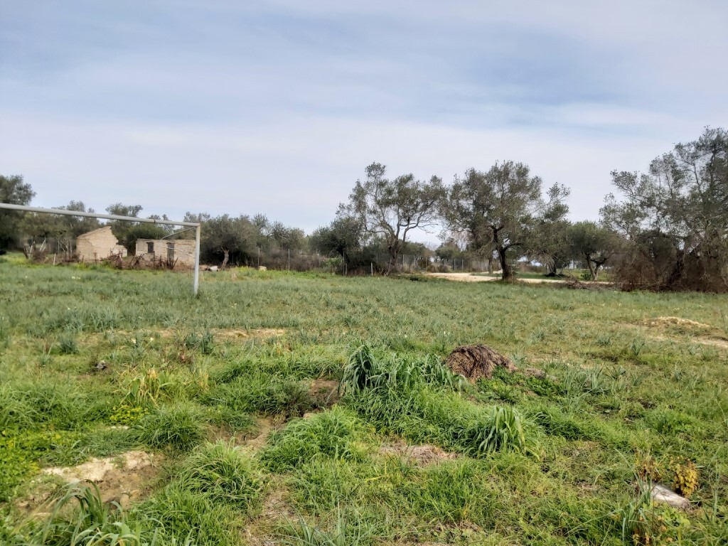Land in Corfu, Corfu Prefecture, Greece – 57953