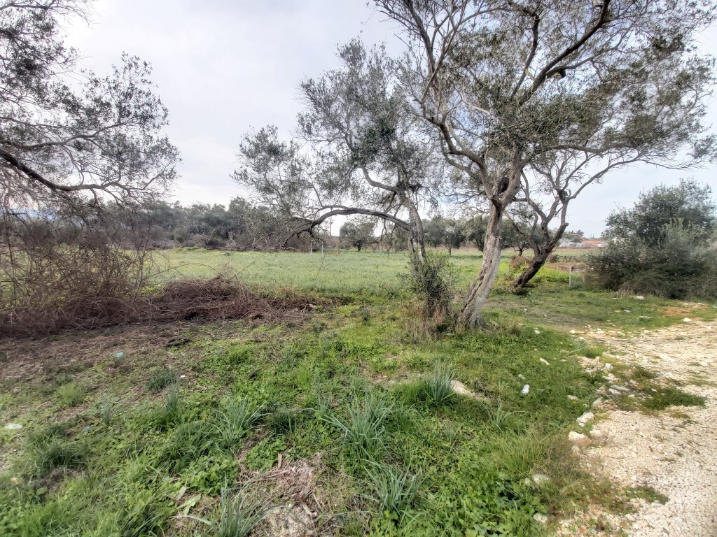 Land in Corfu, Corfu Prefecture, Greece – 57953