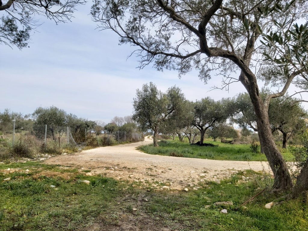 Land in Corfu, Corfu Prefecture, Greece – 57953