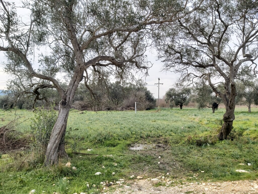 Land in Corfu, Corfu Prefecture, Greece – 57953
