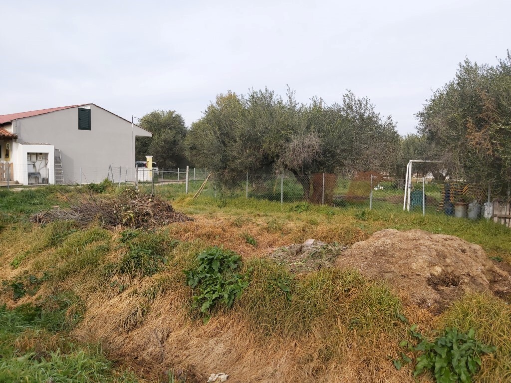 Land in Corfu, Corfu Prefecture, Greece – 57948