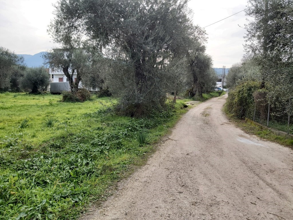 Land in Corfu, Corfu Prefecture, Greece – 57948