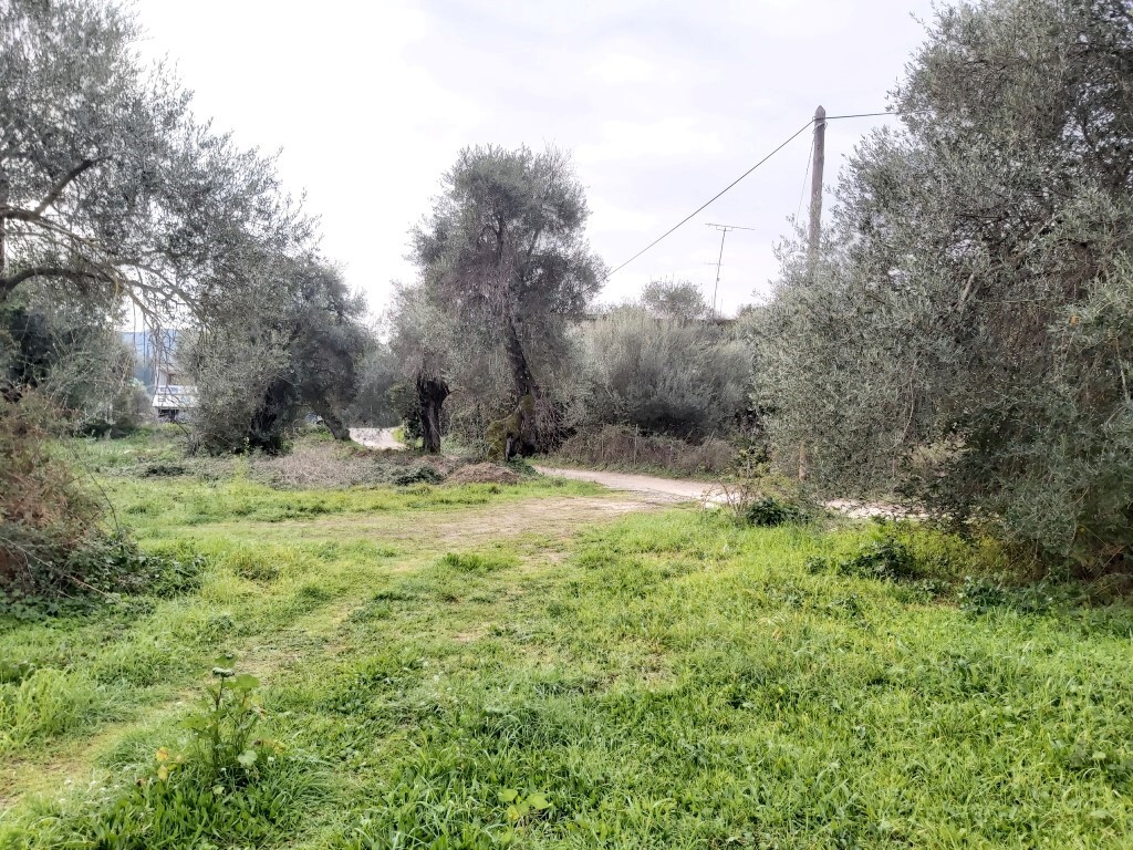 Land in Corfu, Corfu Prefecture, Greece – 57948