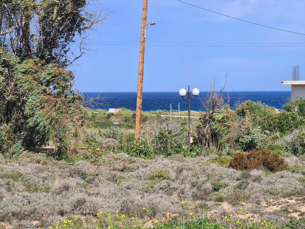 Land in Akrotiri, Chania Prefecture, Greece – 57935