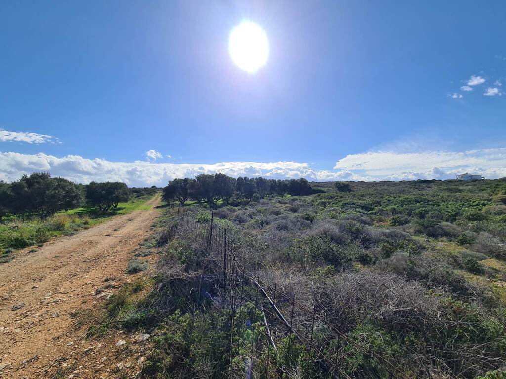 Land in Akrotiri, Chania Prefecture, Greece – 57935