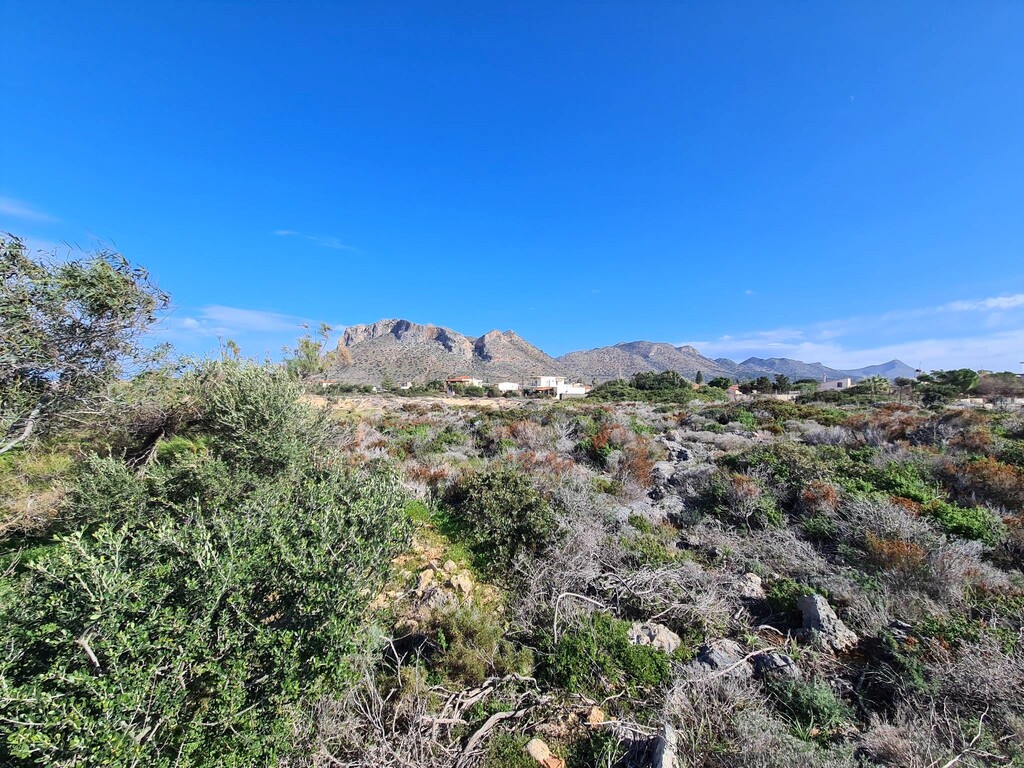 Land in Akrotiri, Chania Prefecture, Greece – 57935