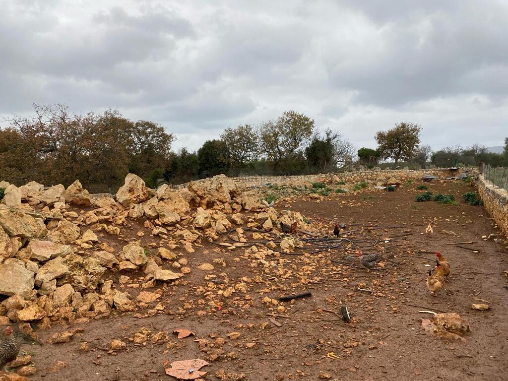 Land in Vamos, Chania Prefecture, Greece – 57918