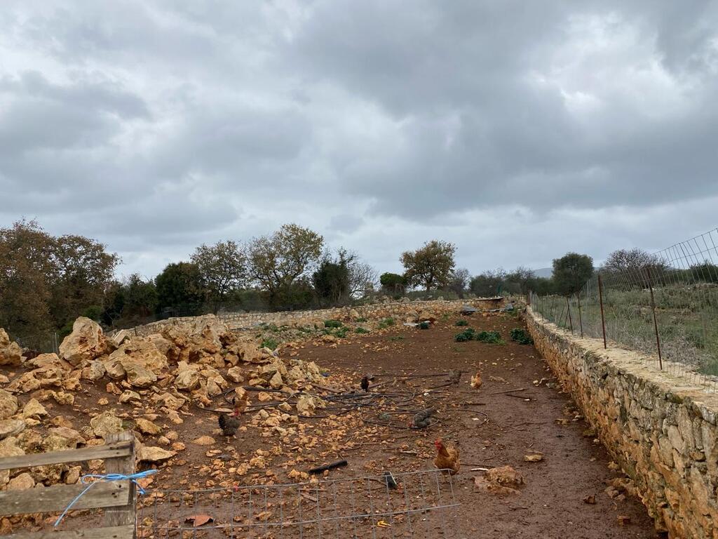 Land in Vamos, Chania Prefecture, Greece – 57918