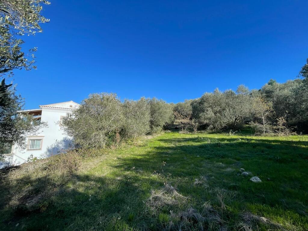 Land in Corfu, Corfu Prefecture, Greece – 57913