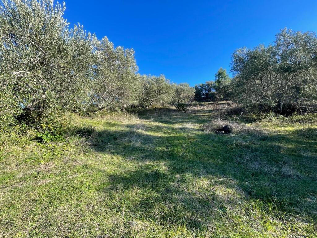 Land in Corfu, Corfu Prefecture, Greece – 57913