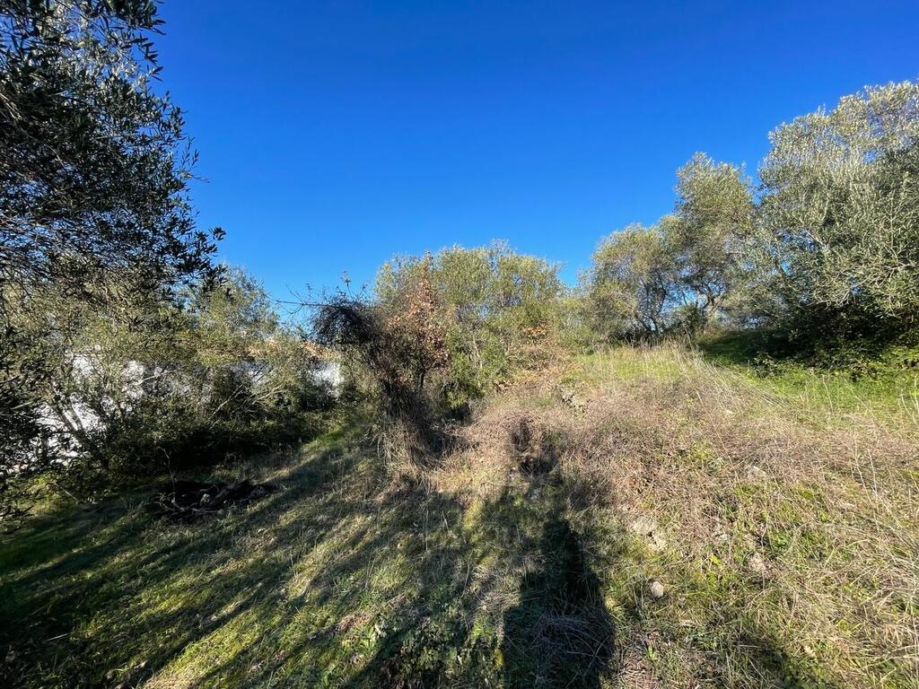 Land in Corfu, Corfu Prefecture, Greece – 57913