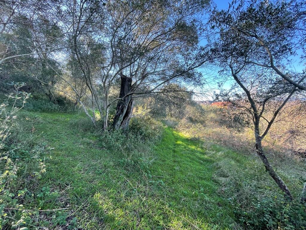 Land in Corfu, Corfu Prefecture, Greece – 57913