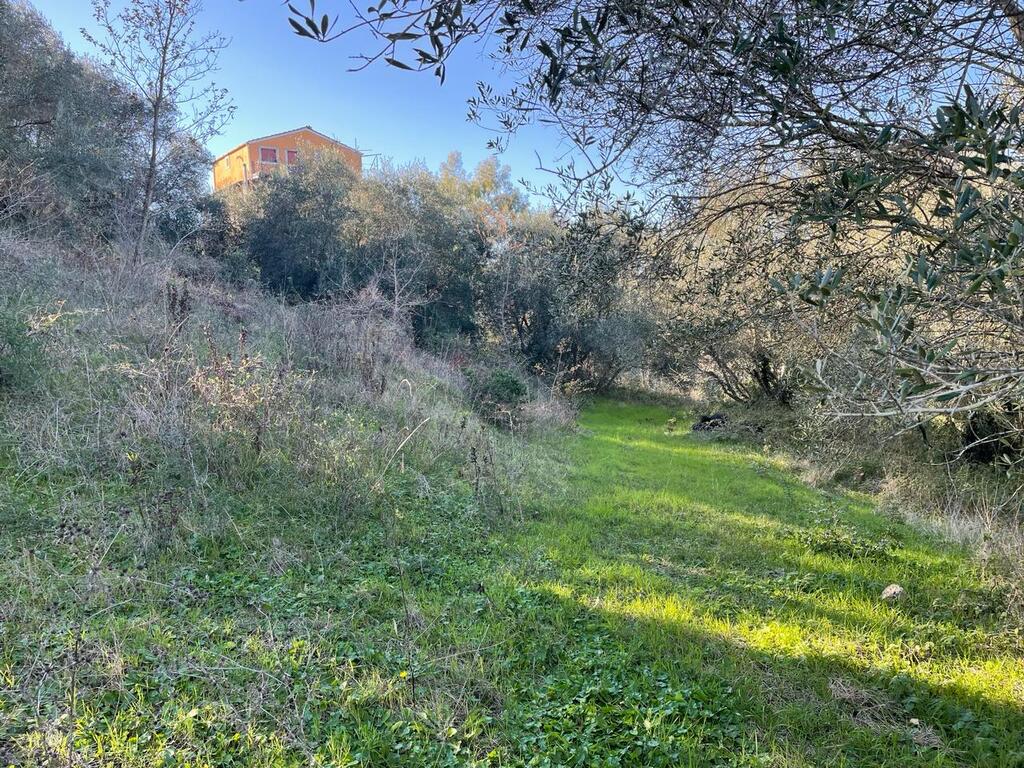 Land in Corfu, Corfu Prefecture, Greece – 57913