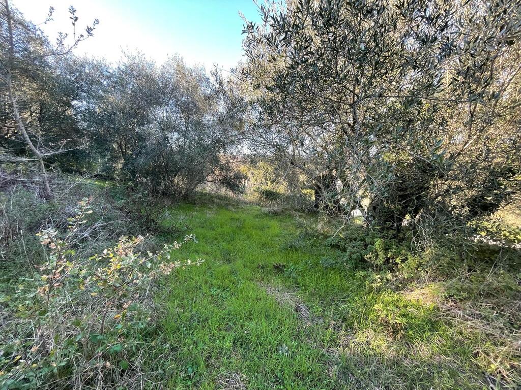Land in Corfu, Corfu Prefecture, Greece – 57913