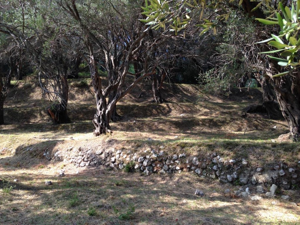 Land in Corfu, Corfu Prefecture, Greece – 57905