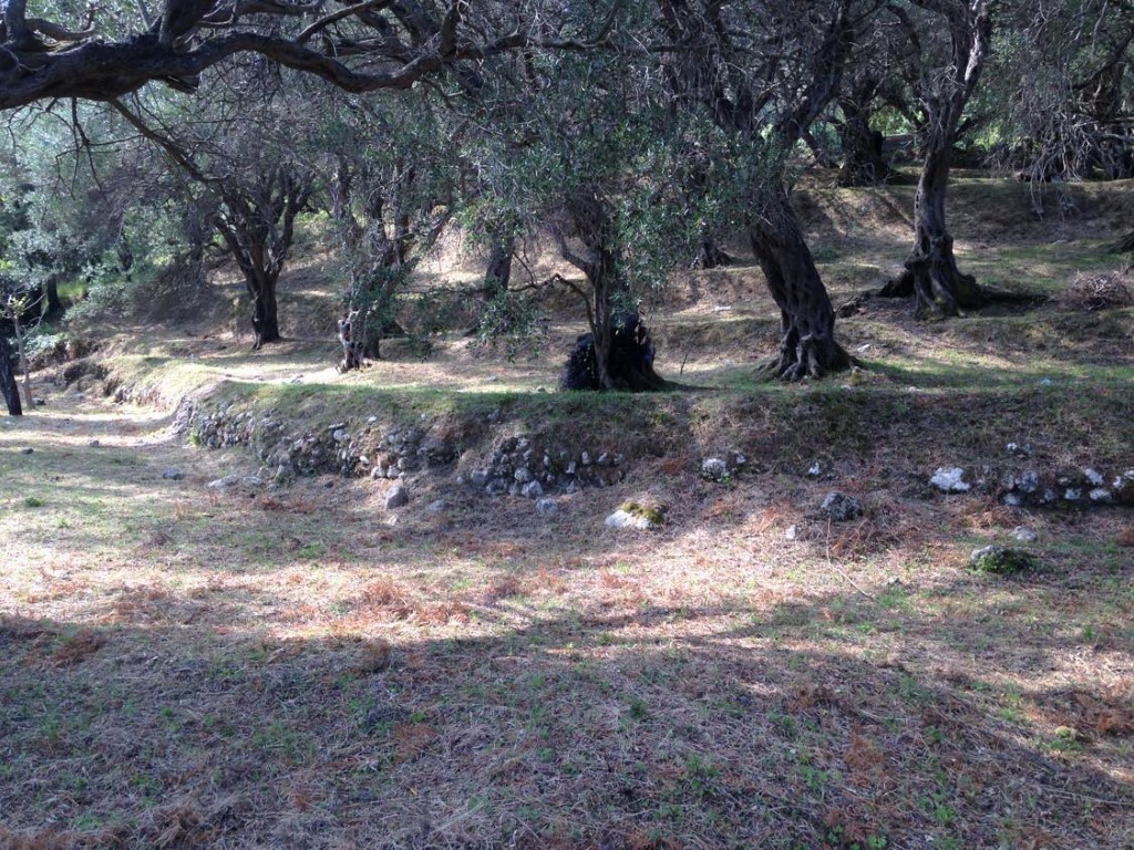 Land in Corfu, Corfu Prefecture, Greece – 57905