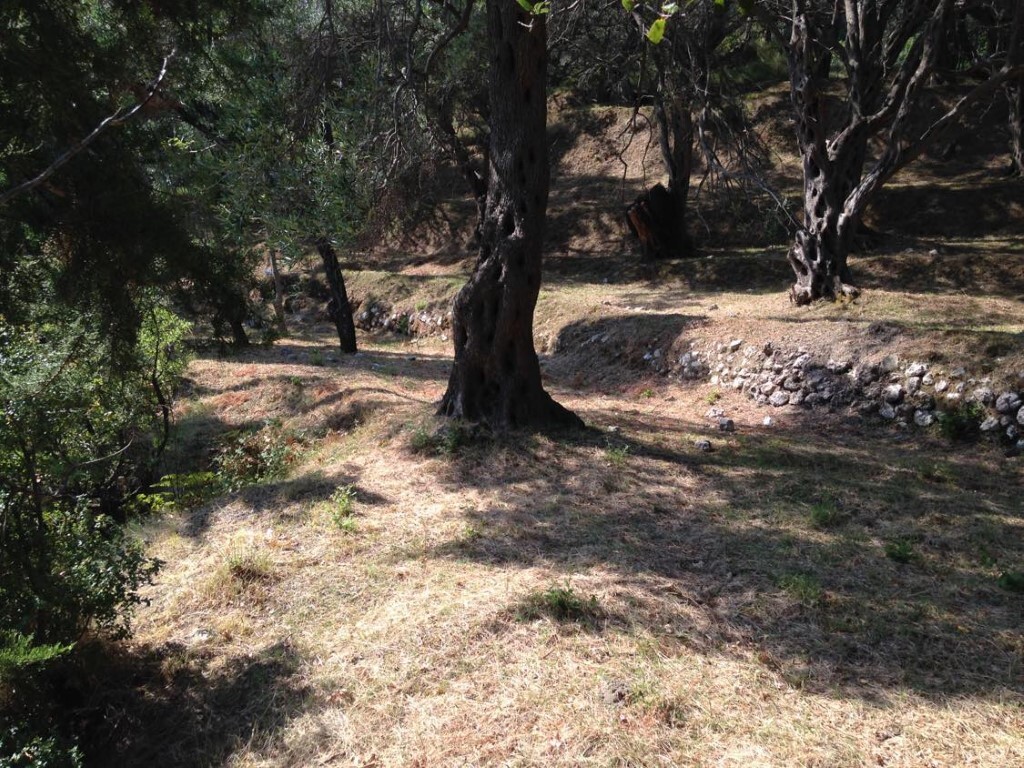 Land in Corfu, Corfu Prefecture, Greece – 57905