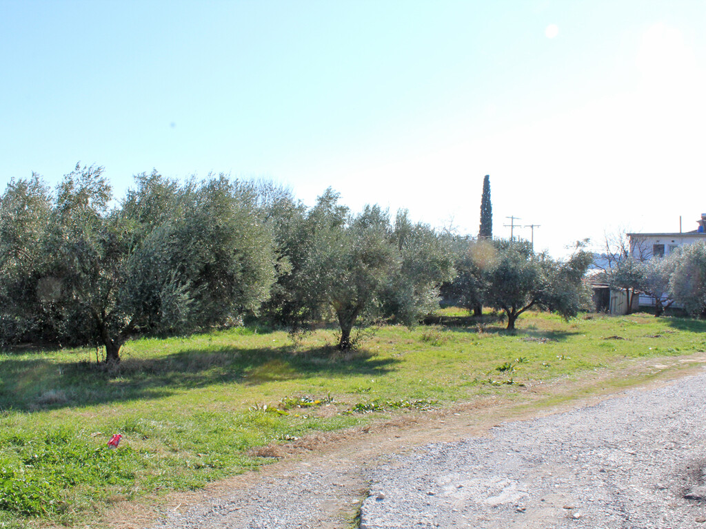 Land in Methoni, Pieria Prefecture, Greece – 57899