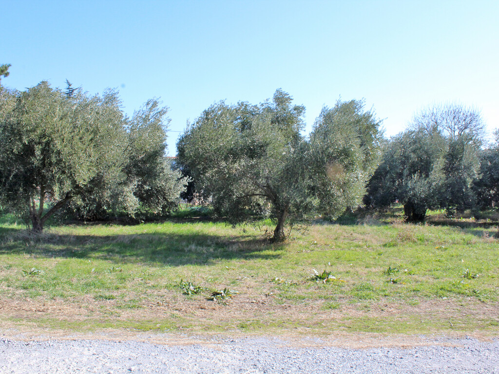 Land in Methoni, Pieria Prefecture, Greece – 57899