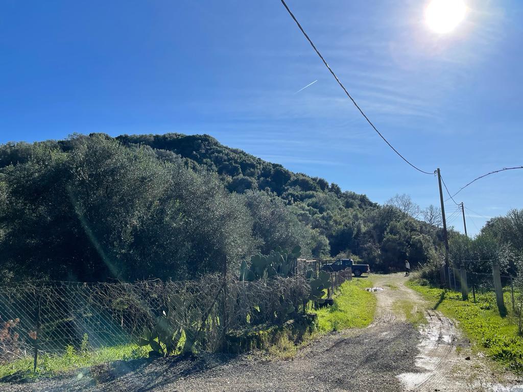 Land in Corfu, Corfu Prefecture, Greece – 57847