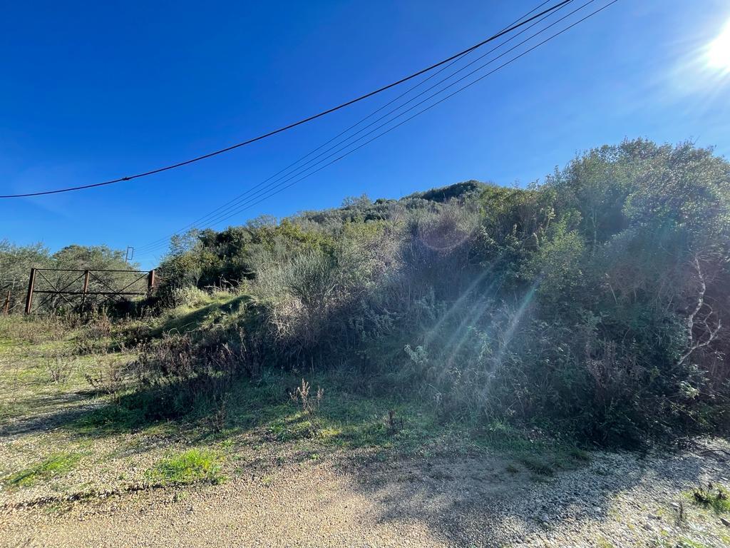 Land in Corfu, Corfu Prefecture, Greece – 57847
