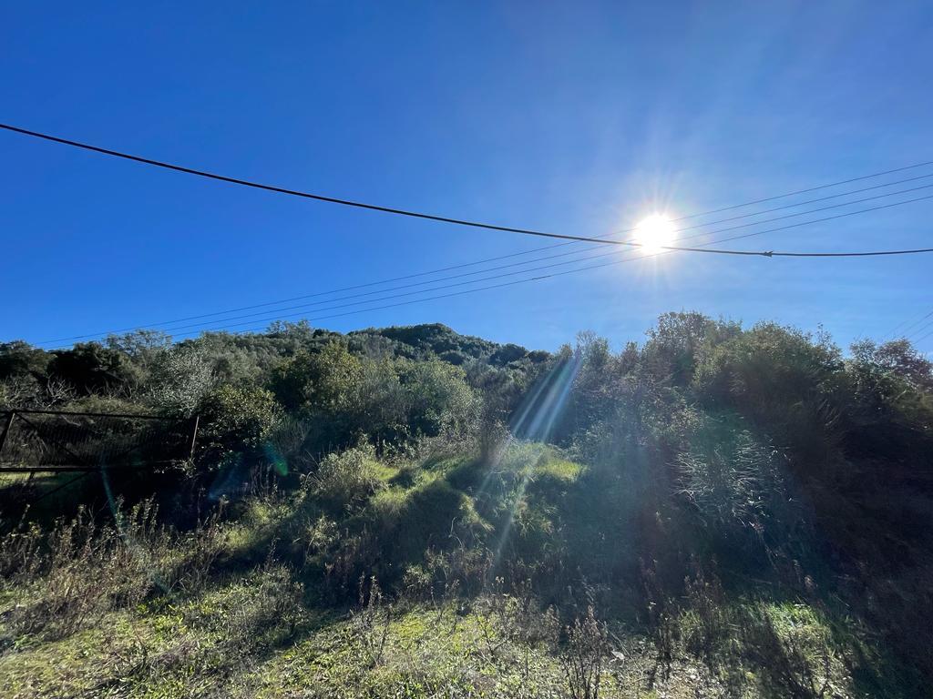 Land in Corfu, Corfu Prefecture, Greece – 57847