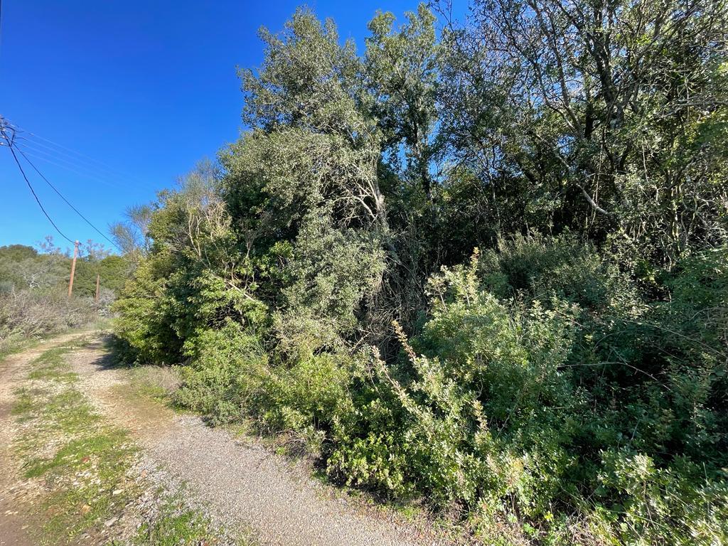 Land in Corfu, Corfu Prefecture, Greece – 57847