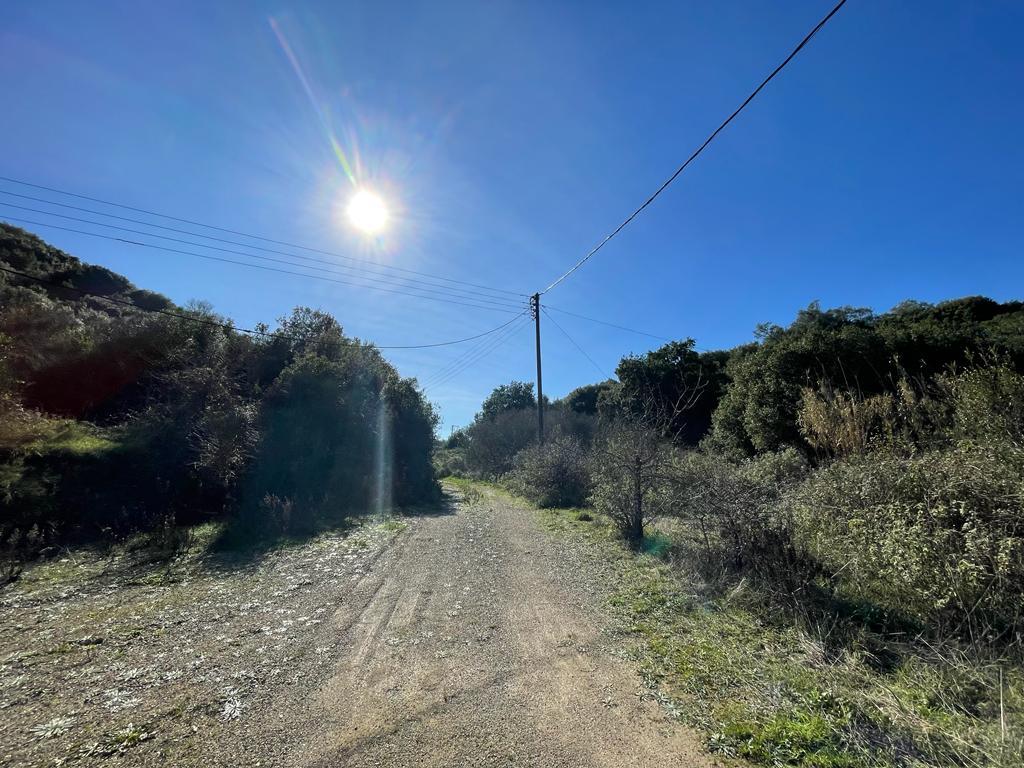 Land in Corfu, Corfu Prefecture, Greece – 57847