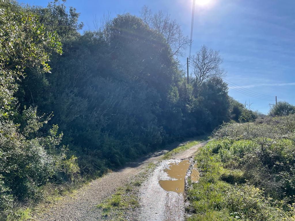 Land in Corfu, Corfu Prefecture, Greece – 57847