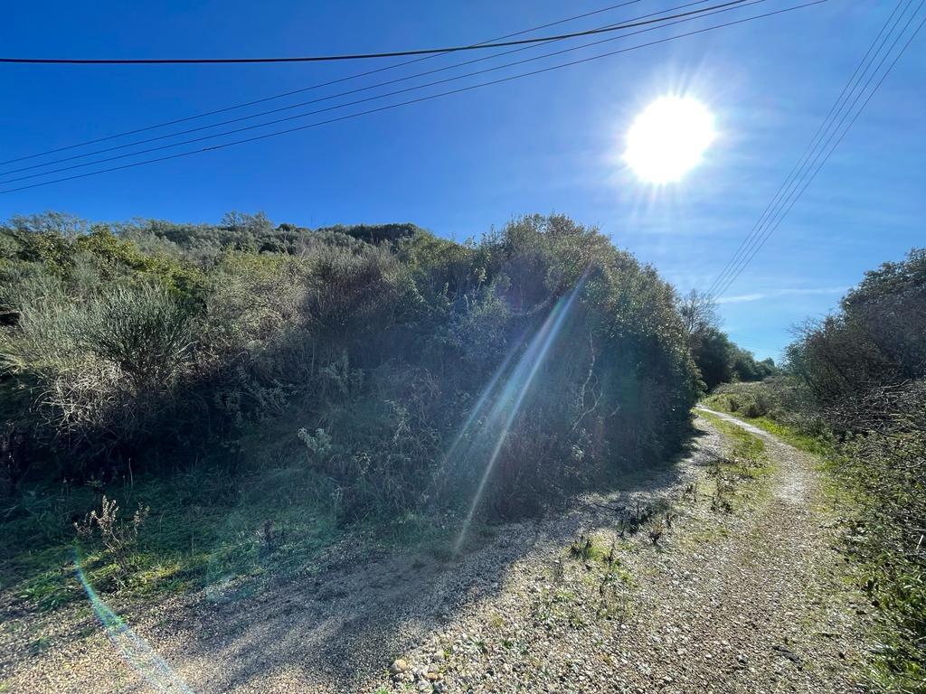Land in Corfu, Corfu Prefecture, Greece – 57847