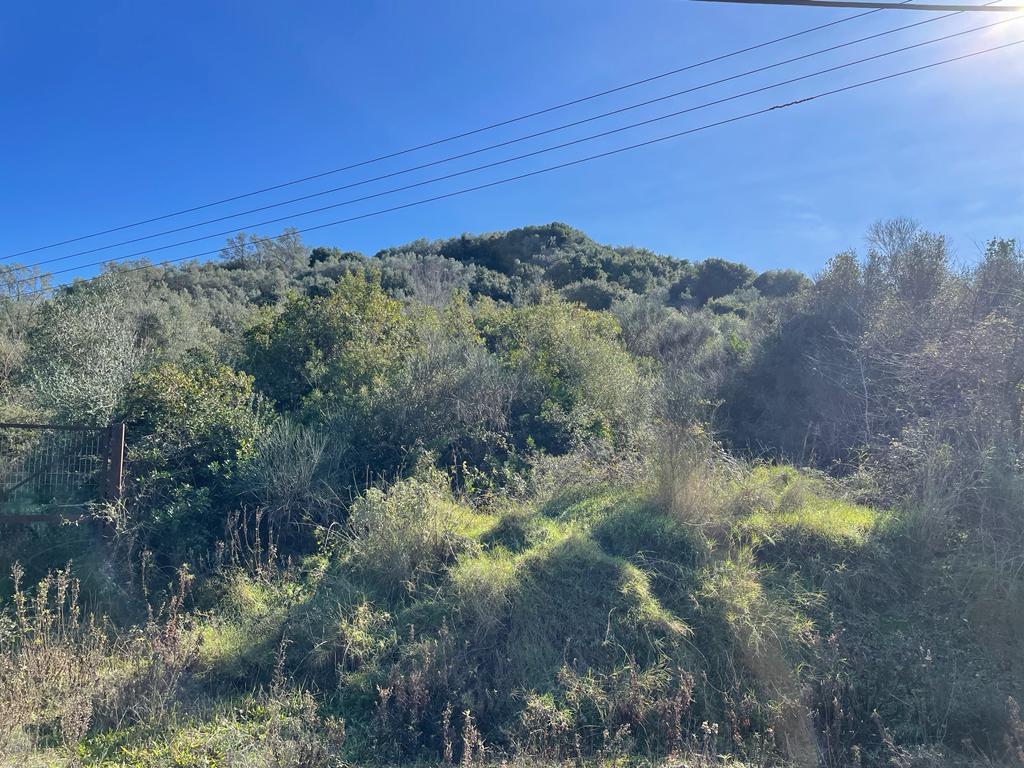 Land in Corfu, Corfu Prefecture, Greece – 57847