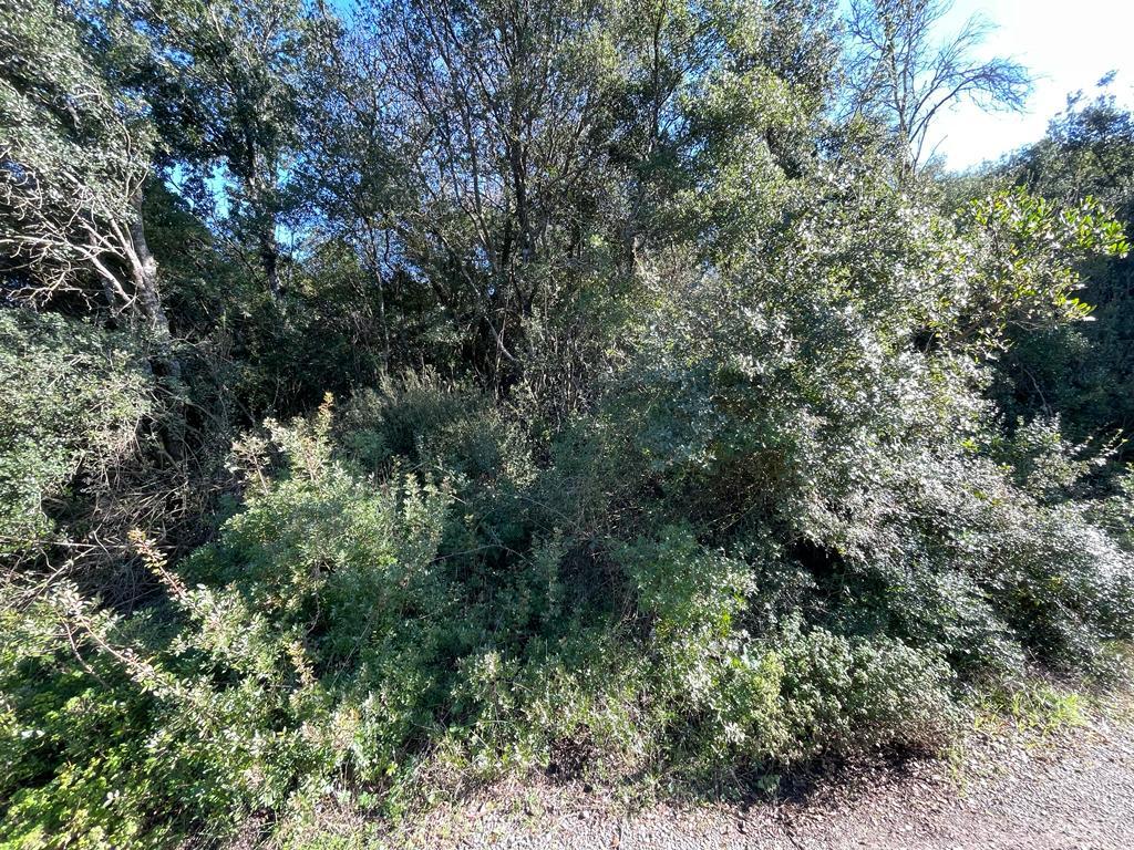 Land in Corfu, Corfu Prefecture, Greece – 57847