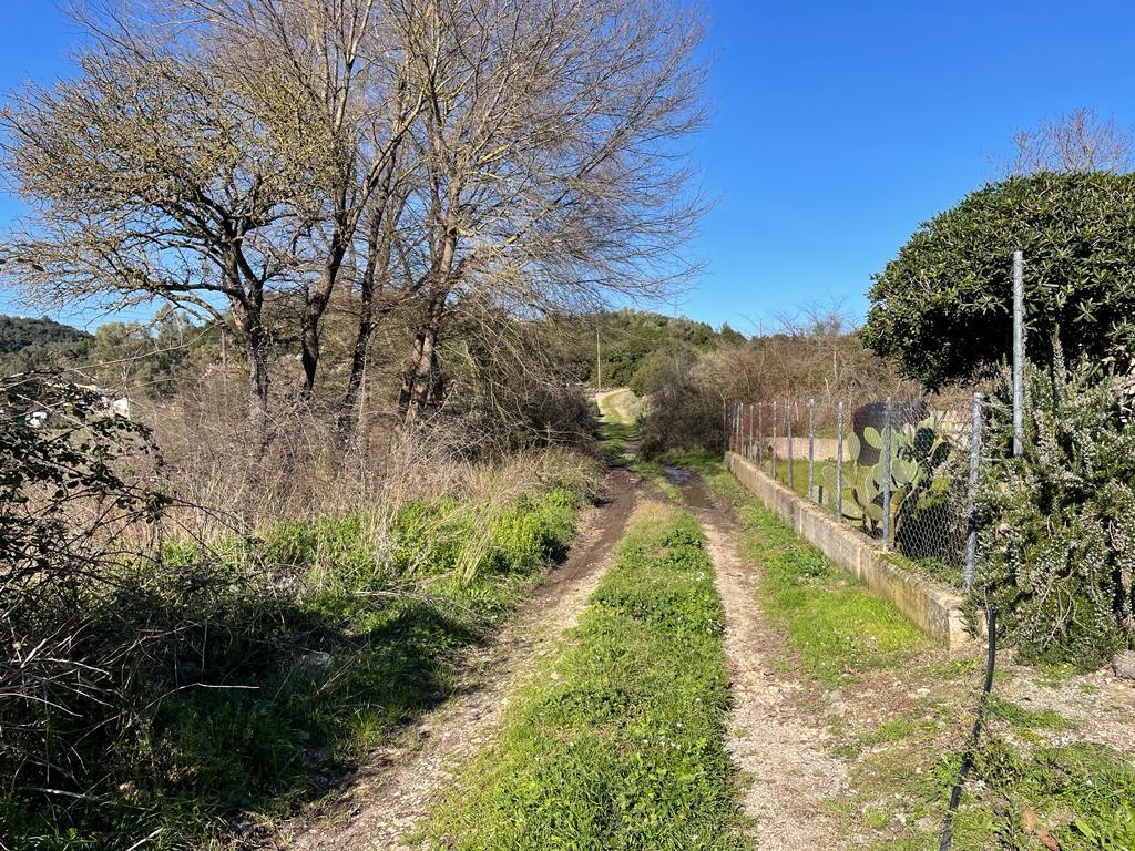Land in Corfu, Corfu Prefecture, Greece – 57847