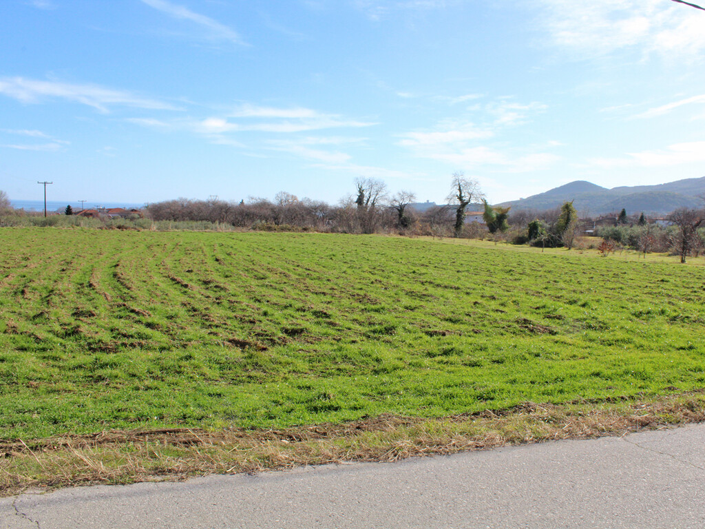Land in Easts Olimpos, Pieria Prefecture, Greece – 57828