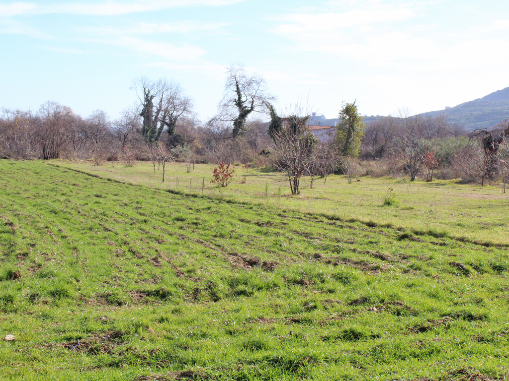 Land in Easts Olimpos, Pieria Prefecture, Greece – 57828