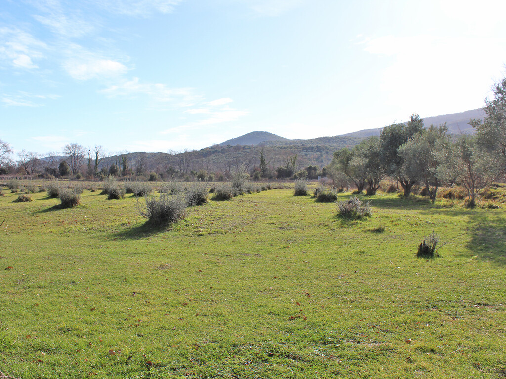 Land in Easts Olimpos, Pieria Prefecture, Greece – 57819