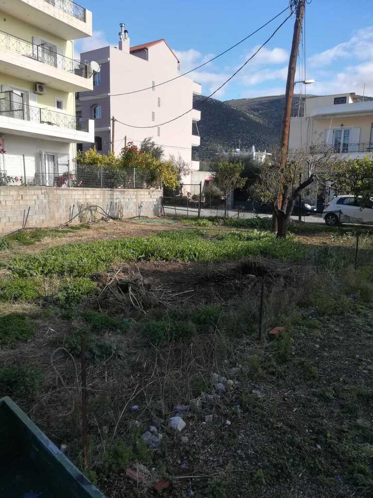 Land in Itea, Fokida, Greece – 57801