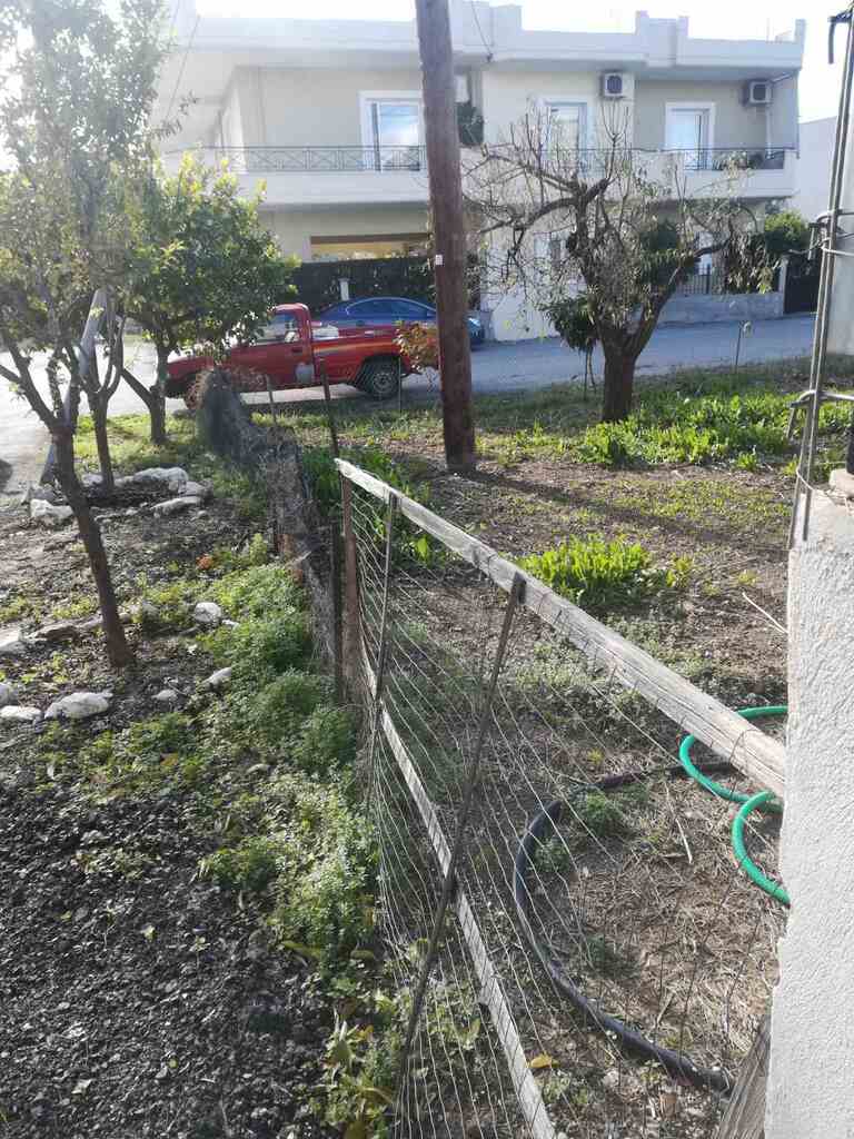 Land in Itea, Fokida, Greece – 57801