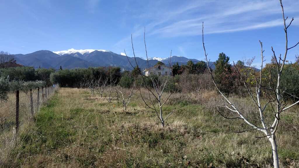 Land in Easts Olimpos, Pieria Prefecture, Greece – 57799