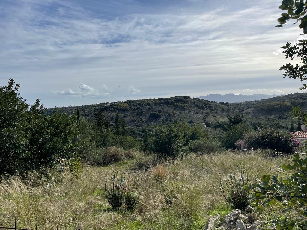 Land in Vamos, Chania Prefecture, Greece – 57760