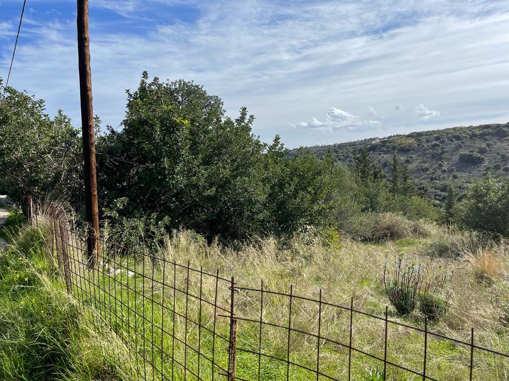 Land in Vamos, Chania Prefecture, Greece – 57760