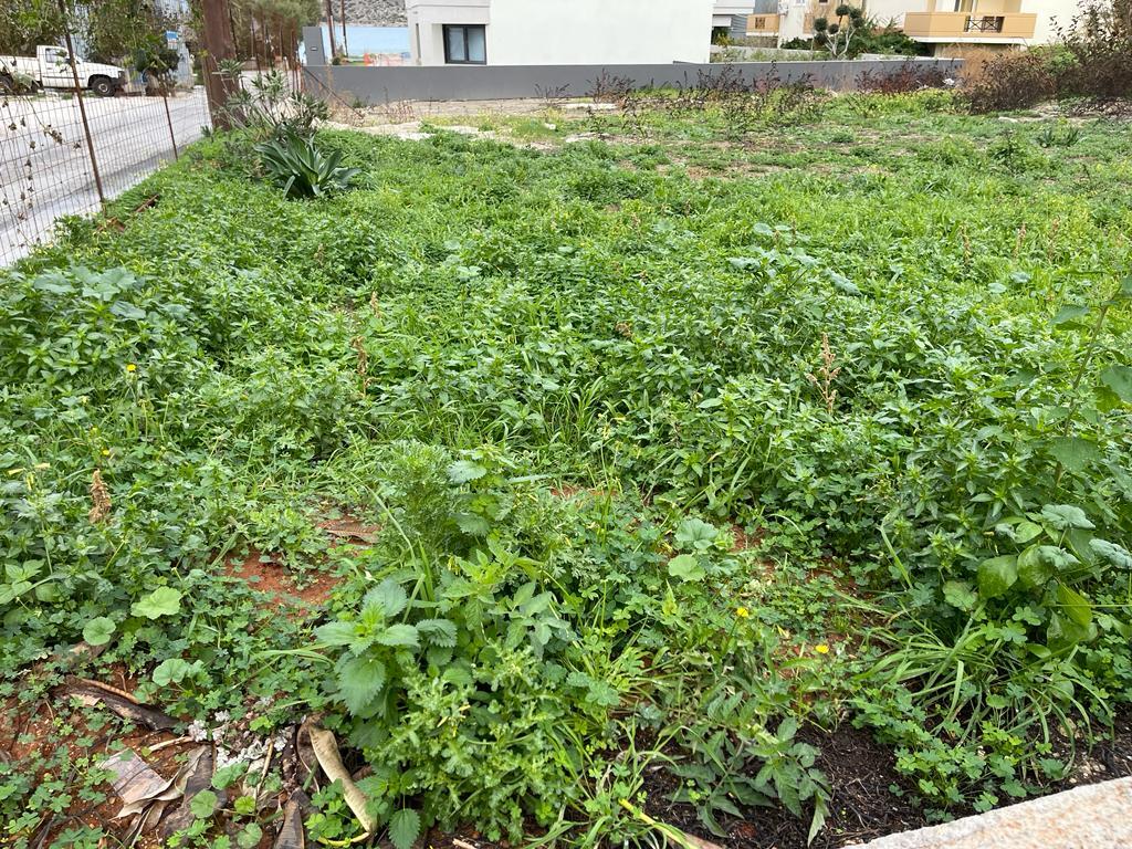 Land in Platanias, Chania Prefecture, Greece – 57759