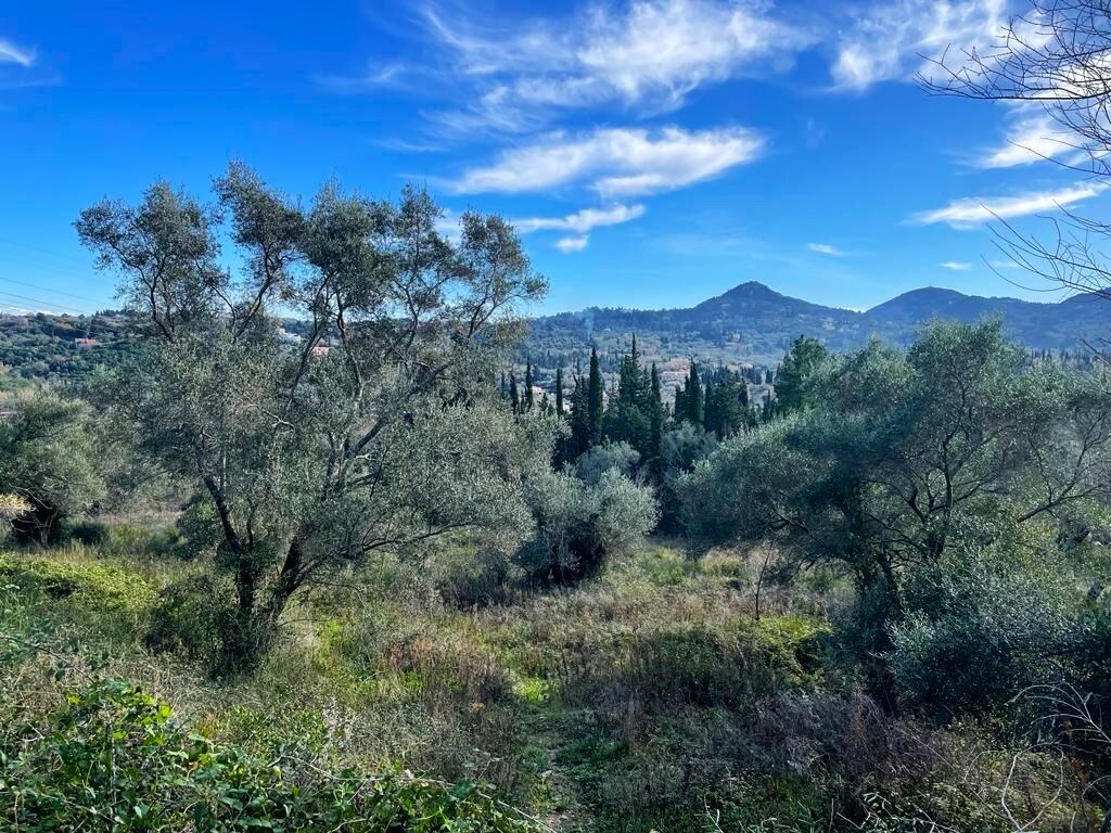 Land in Corfu, Corfu Prefecture, Greece – 57706