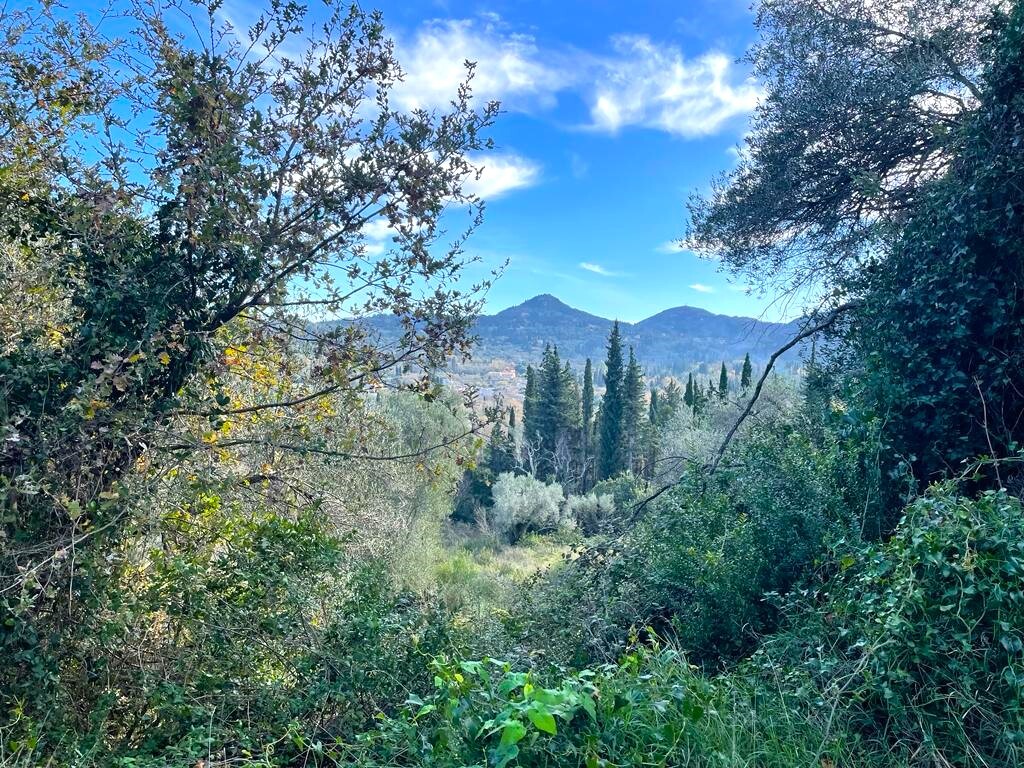 Land in Corfu, Corfu Prefecture, Greece – 57706