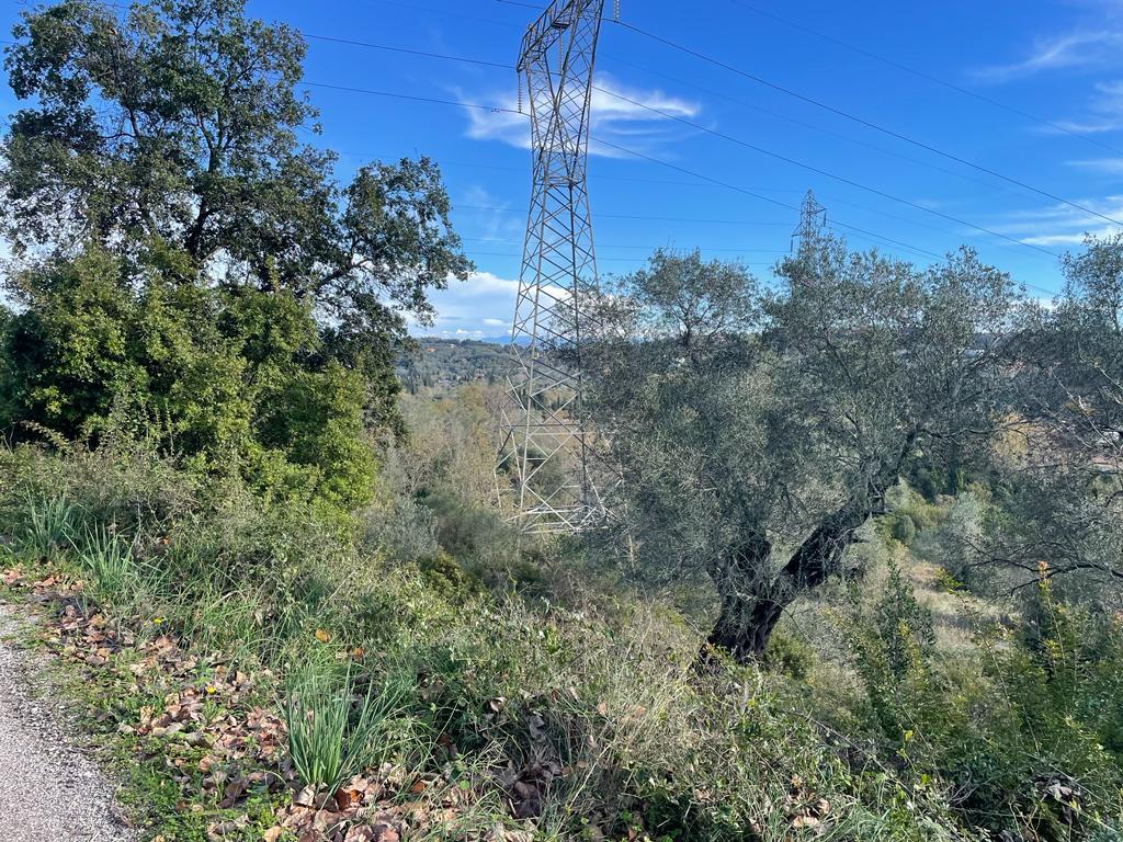 Land in Corfu, Corfu Prefecture, Greece – 57706